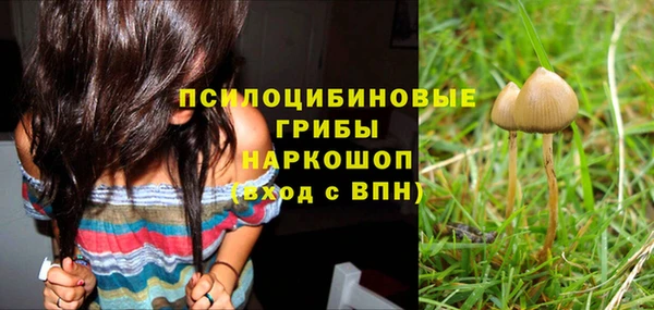spice Семикаракорск