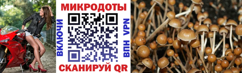 Псилоцибиновые грибы MAGIC MUSHROOMS  Троицк 