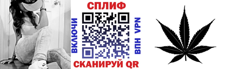 Бошки Шишки SATIVA & INDICA  наркота  shop какой сайт  Троицк 